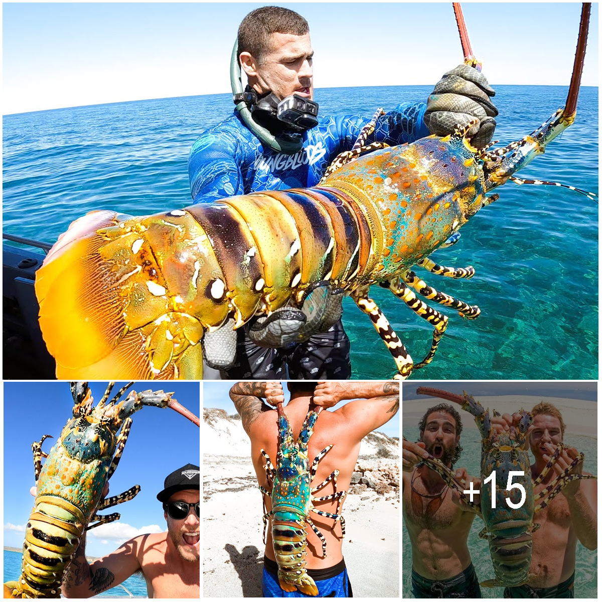 The Gigantic Marvel: Unveiling Unprecedentedly Large Lobsters