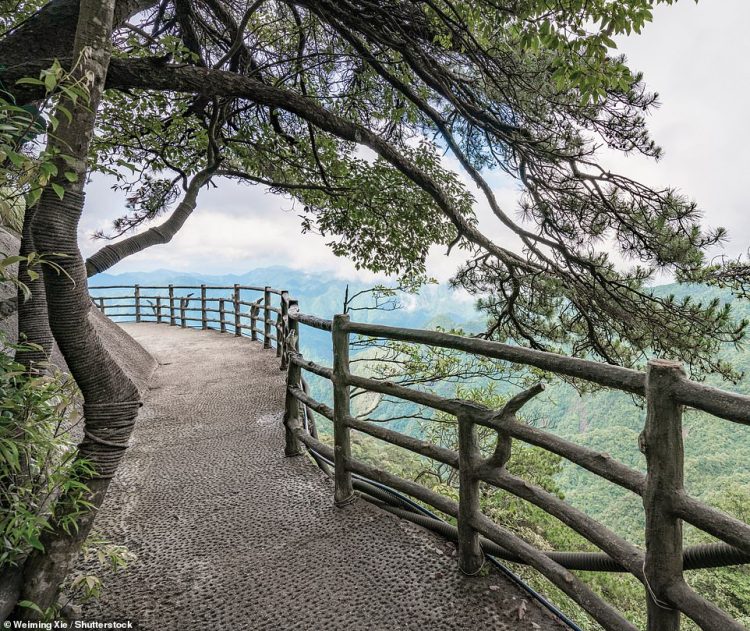 Unveiling the Secrets Journey into Hidden Valleys and Boulder Houses