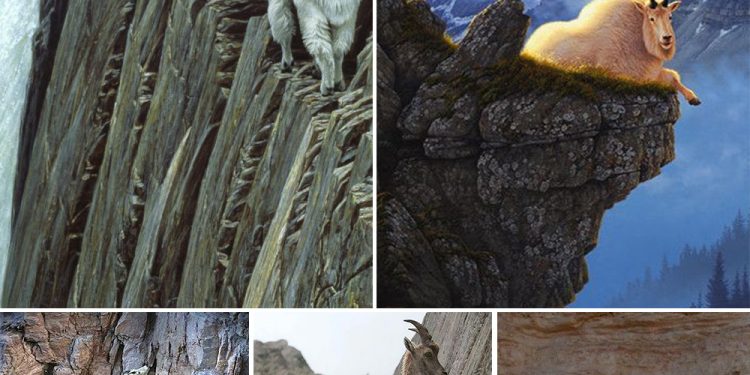 Vertical Rock Climbing Masters: Unveiling the Secrets of These “Super-Goats”