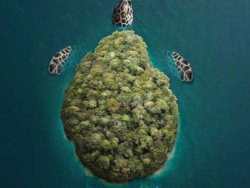 Turtle islands carry the enchanting magic that traverses the world’s oceans, captivating hearts wherever they roam. These extraordinary habitats embody the beauty and significance of marine life, urging us to cherish and safeguard our oceans